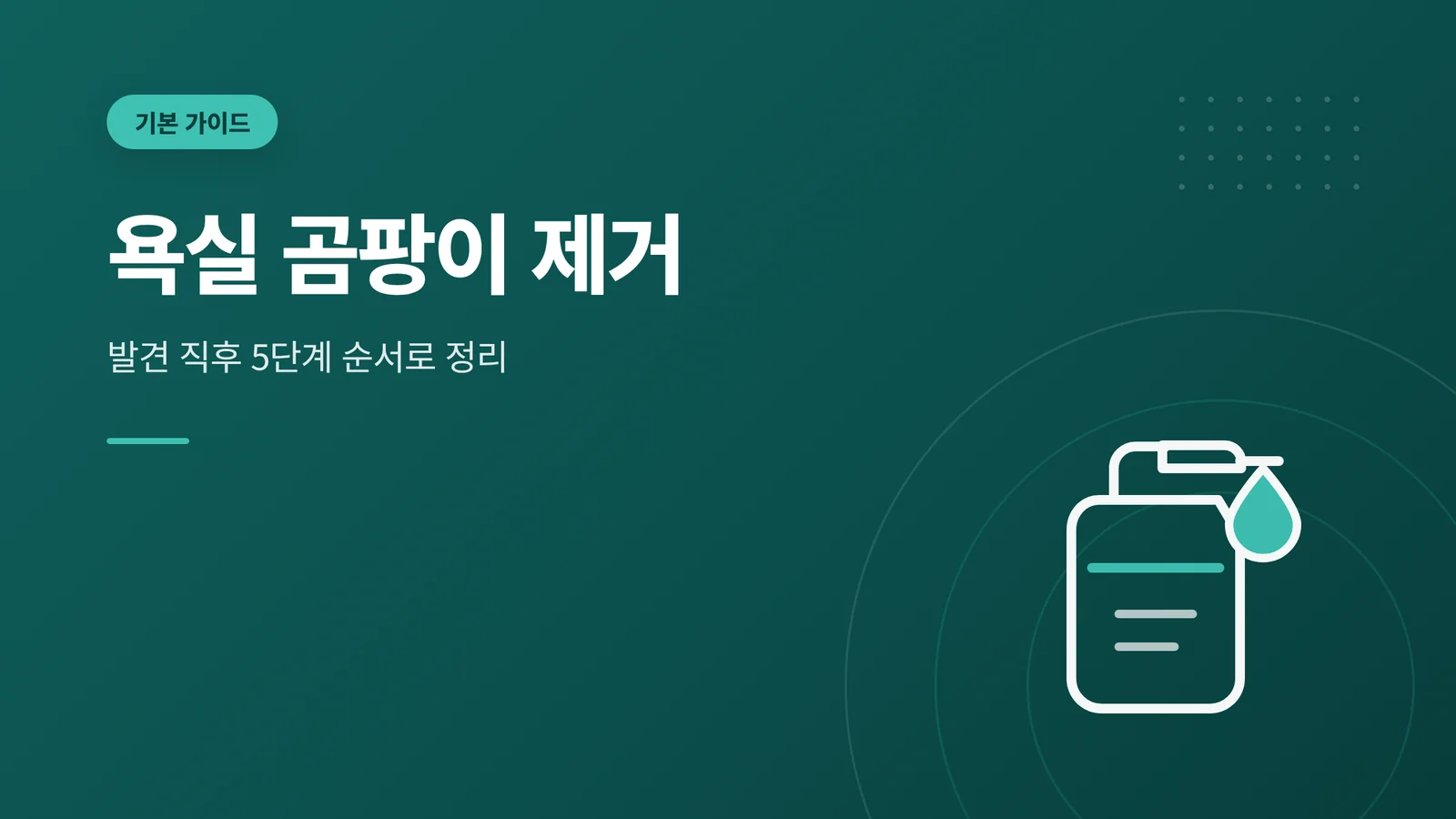 욕실 곰팡이 제거